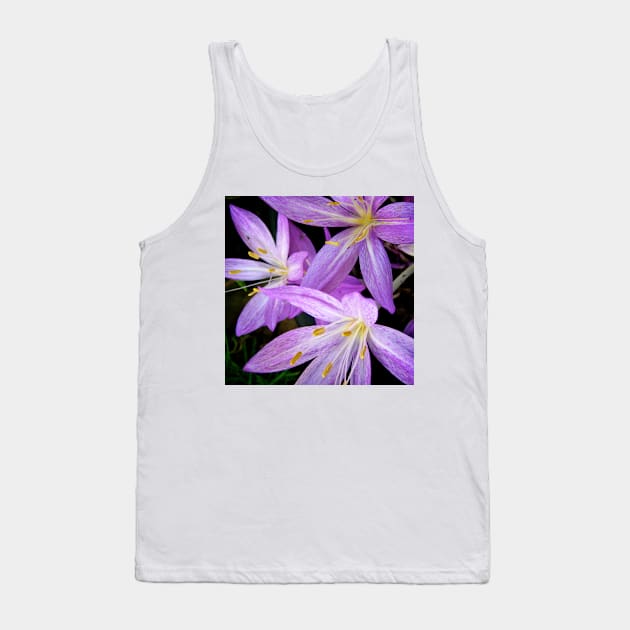 Saffron Crocus Flowers Photography Tank Top by Heatherian